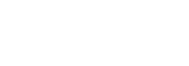 Adversary X